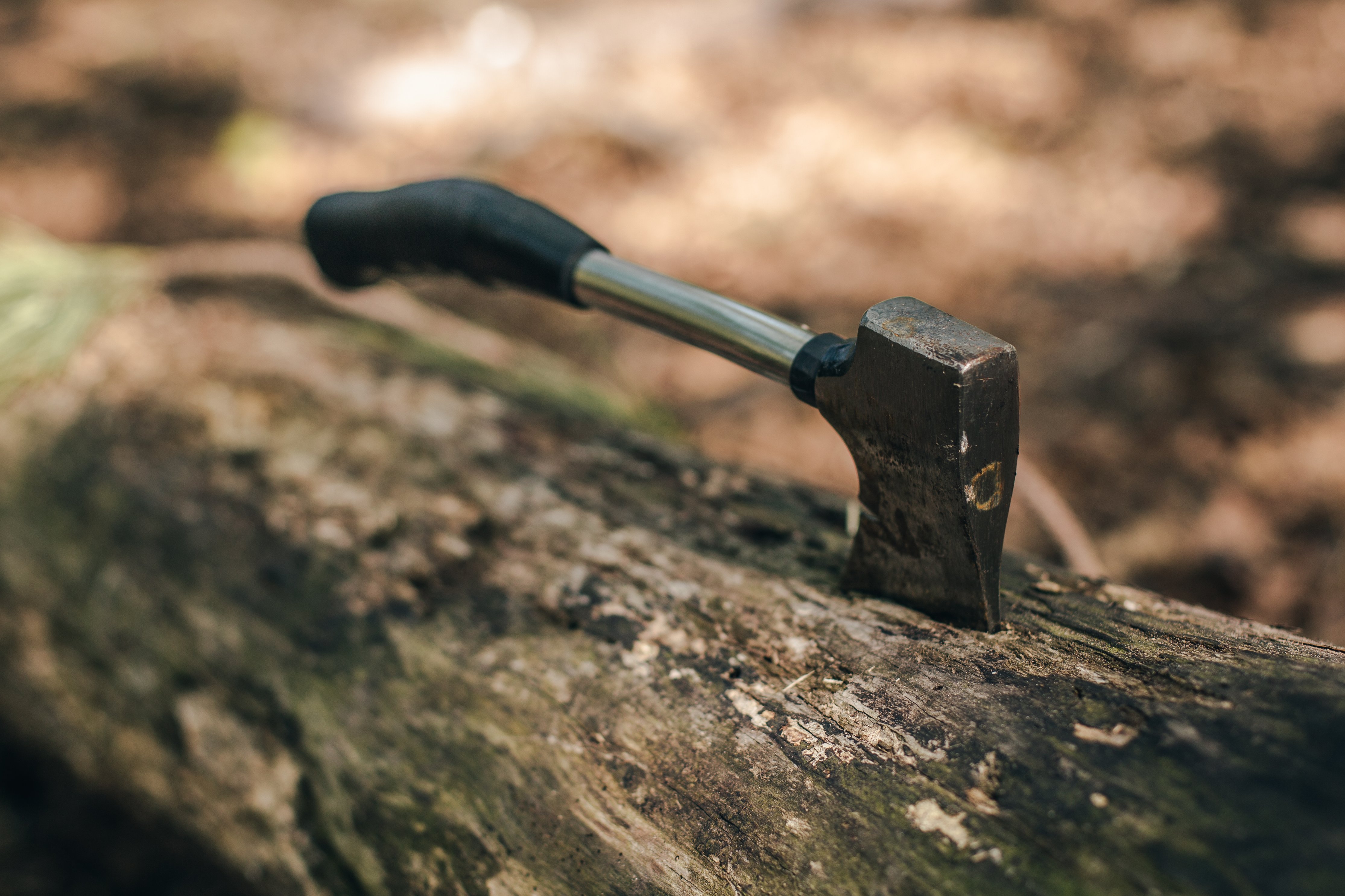 Hatchet in Tree